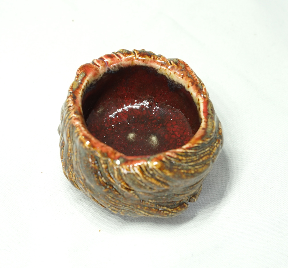 Guinomi Kin Ki - Détail céramique - Daijobu Pottery