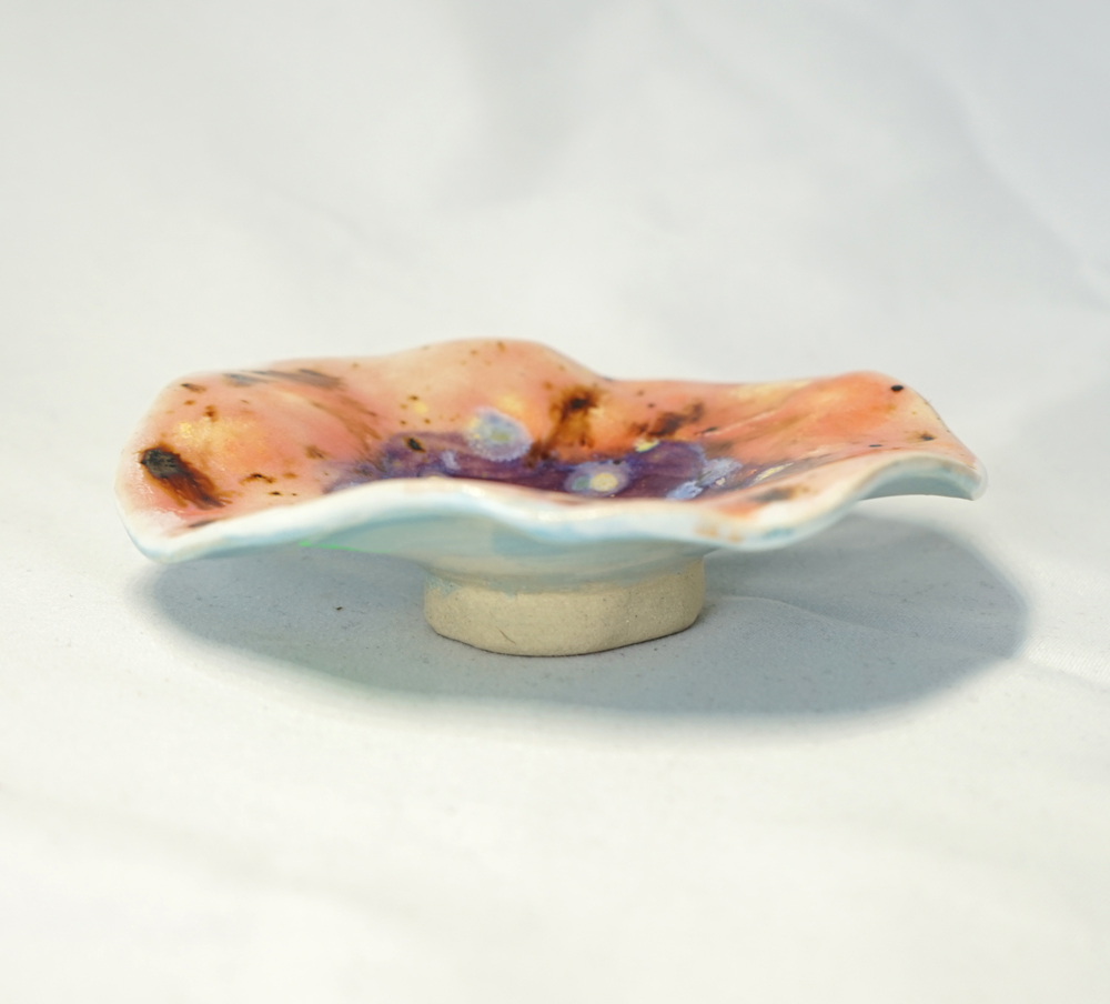 Takadai Mamezara Passion Amaryllis - Détail céramique - Daijobu Pottery